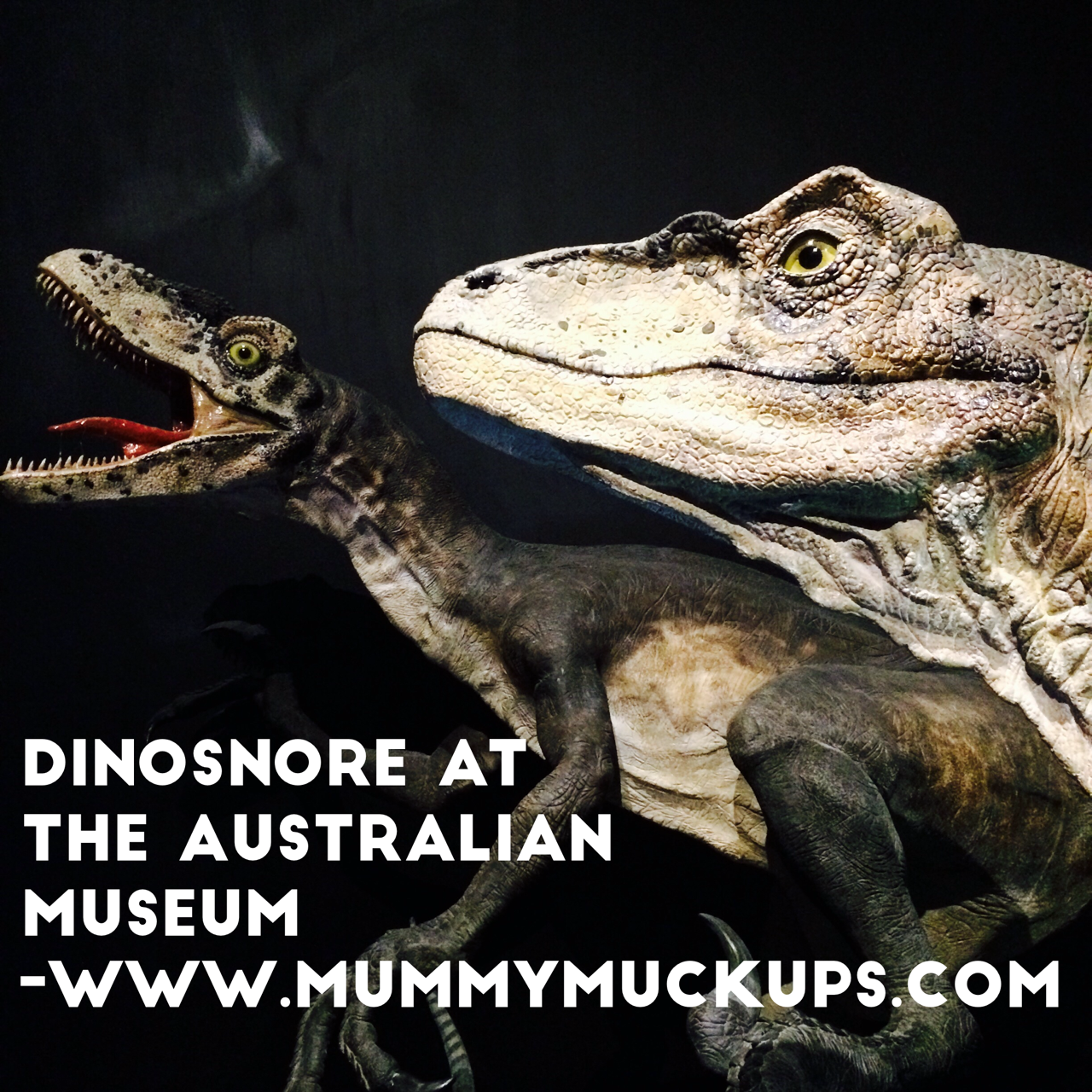 Dinosaur - Tyrannosaurus rex - The Australian Museum