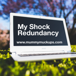 MY SHOCK REDUNDANCY