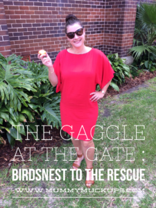 THE GAGGLE AT THE GATE : BIRDSNEST TO THE RESCUE