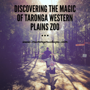 DISCOVERING THE MAGIC OF TARONGA WESTERN PLAINS ZOO